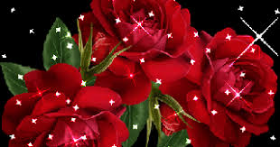 Besar, biasanya berwarna kuning terang. Wallpaper Bunga Teratai Bergerak Wallpapershit