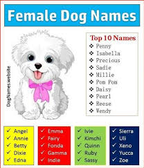 Sometimes only a tough, strong name will do. Female Dog Names Pretty 20 Best Girl Dog Names Cute Female Names For Dogs Dogs Usually Hear The First Syllable
