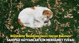 Konya Buyuksehir Belediyesi