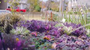 Matkins flowers and greenhouses, bentonville, ar. Matkins Flowers Greenhouse Explore Downtown Bentonville Inc