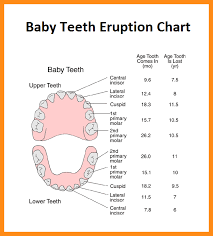 11 12 Baby Tooth Eruption Chart Lasweetvida Com