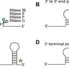 Daniel-Timon Spanka's research works