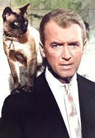 Bell Book and Candle Movie Discussion with Kim Novak and Jimmy Stewart