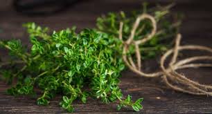 If you don't have sage in your spice rack or you couldn't find it in a nearby grocery store, here are some alternatives you can use instead. Substitute For Sage Spice 5 Alternatives You Can Use Instead Merchdope