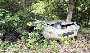 Image result for Light Driftwood 1987 Pontiac