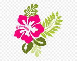 Hibiscus Clipart Different Flower Hawaiian Flower Vector Png Transparent Png Vhv Hibiscus flower stock vectors, clipart and illustrations. hawaiian flower vector png transparent