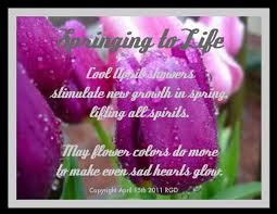 Here's a list of related tags to browse: Spring Showers Bring May Flowers Quotes Quotesgram