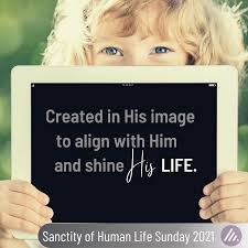 Due to these attitudes towards the sanctity of life. Sanctity Of Human Life Sunday Align Life Ministries