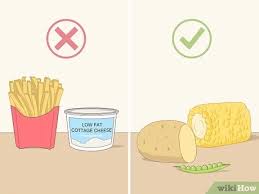 Bingung memilih makanan kucing yang bagus? 3 Cara Untuk Membuat Lengan Lebih Berisi Wikihow