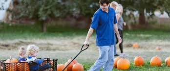We did not find results for: Guide To Apple Orchards Pumpkin Patches