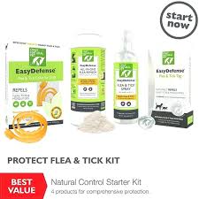 natural flea for cats cat and