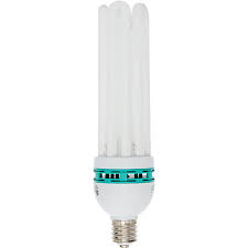 Agrobrite Compact Fluorescent Lamp Warm 125w 2700k 125 Watt Cfl Bulbs Cfl Bulbs Fluorescent Grow Light Bulbs Grow Light Bulbs Grow Lights