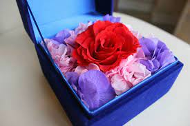 Maybe you would like to learn more about one of these? Flower That Never Dies How To Preserve Flowers Flowers Blog