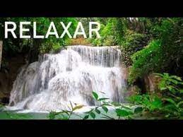 We did not find results for: Terapia Zen Musica Relaxante Acalmando A Mente Musica Zem S Musica Relaxante Musica Como Acalmar A Mente