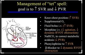 Image result for Tet Spell