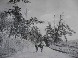 yahoo ブログ サービス終了 古写真 いにしえ 写真