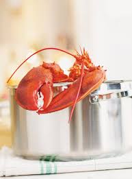 Pin On Seafood