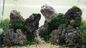 This is one of the most textured rocks for aquascaping. Elephant Valley Aquascape