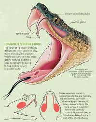 Pin On Educational Reference Material