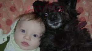 An Obituary for a Dog