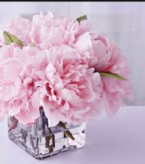 I fiori e i mazzi di rose si possono inviare per festeggiare il compleanno, e la spedizione è gratuita perchè compresa nel prezzo della consegna a domicilio, che verrà eseguita dalla nostra. Fiori Per Buffet E Centrotavola Catering Grasch
