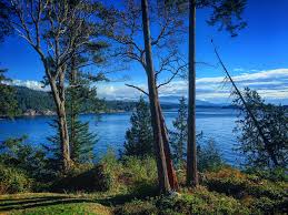 Maybe you would like to learn more about one of these? Morning View From The Cabin October 2017 Half Moon Bay Vancouver Oc 4032x3021 Earthporn