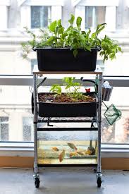 Since we had an established system which we were converting in step eight: Diy Aquaponics Workshop This Sunday Freestylefarm