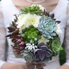 We did not find results for: Succulent Wedding Products Urban Succulents