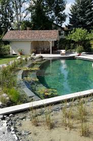 39 Awesome Diy Summer Natural Swimming Pool Design Master Home Decor