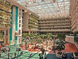 Hyatt Regency Orlando Airport Hotel Orlando Jpg 350 263 Orlando Airport Hotel Orlando Hotel Orlando Airport