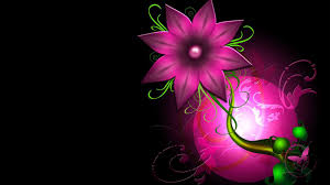 Pink Flower Hd Wallpapers 1080p Hd Wallpapers Hd Flower Wallpaper Flower Wallpaper Android Wallpaper