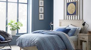 Blair waldorf taste on a lonely boy budget. Teen Room Paint Color Ideas Inspiration Gallery Sherwin Williams