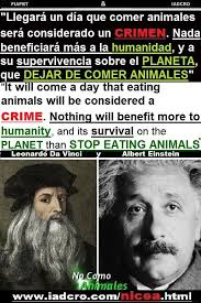 FEDERACION INTERNACIONAL DEL AMERICAN PIT BULL TERRIER