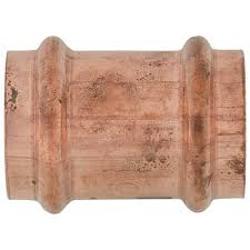 Image result for Ruspolia sp. no. 1 (Biegel 5407)