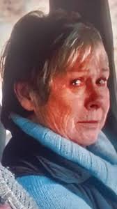 A classic scene showing a GMC truck A Wolseley and a Morris Minor sharing  the old bridge with a sheep farmer moving stock across at Gundagai in 1953!  Mitchell Library