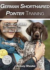 We specialize in champion bred english and german shorthaired pointer gundogs for the serious upland bird hunter or field trialer. German Shorthaired Pointer Training The Complete Guide To Training The Best Dog Ever English Edition Ebook Rhodes Antony Amazon De Kindle Shop