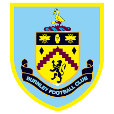The players of the watford football club, an english professional football team based in watford, hertfordshire, are wearing the dogecoin logo on their sleeves. Every Premier League Club Crest Ranked From Worst To Best Sportsjoe Ie