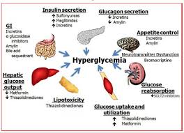 Oral And Injectable Non Insulin Pharmacological Agents For