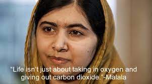 Malala yousafzai, often referred to mononymously as malala, is a pakistani activist for female education and the youngest nobel prize laurea. Top 25 Motivational I Am Malala Quotes Sparknotes Brilliantread Media