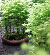 Bonsai reveals to you when the customer collaborates with your receipt and when they intend to pay. Noviflora Asian Serenity 02 2021 Detail Blog