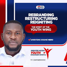 These define my Mission and Vision for the Greater Accra Youth Wing