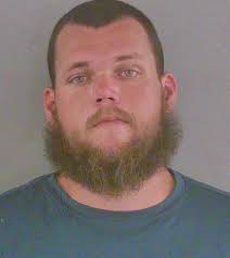 K-9 assists in arrest of driver with felony amount of marijuana