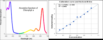 Chem 125 Experiment Ii