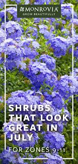 Apr 30, 2021 · growing shrubs in zone 4 gardens. Shrubs That Look Great In July For Zones 9 11 Shrubs Shrubs For Borders Part Shade Plants
