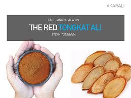 A study evaluating the testosterone promoting benefits of tongkat ali also. Yellow Black Or Red Tongkat Ali Which Is The Best For You Akarali