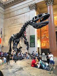 American Museum Of Natural History New York City Top Tips Before You Go Tripadvisor My Hometown New Museums In Nyc New York Travel New York Museums
