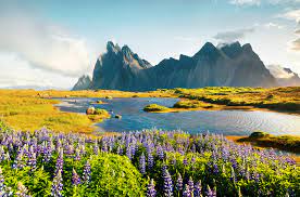 Prices of restaurants, food, transportation, utilities and housing are included. Goditi L Islanda In Estate