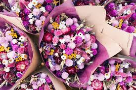 We did not find results for: Colorful Purple Dried Flower Bouquets By Kristin Duvall Flower Bouquet