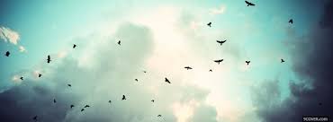 Birds Flying In The Sky Cartoon Facebook Watercolor Cover Photos Google Search Birds Flying Facebook Cover Sky Photos