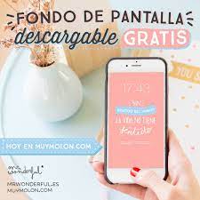 Funda para portatil 13 3 mr wonderful copy. Fondo De Pantalla Muymolon